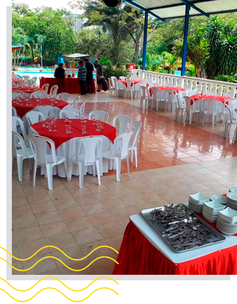 salon-helechos-clubemcali-2019